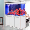 Sensun Aquarium Fish Tank Screen partition type ultra-white fish tank Double-sided ornamental fish black and white style Application Scenario